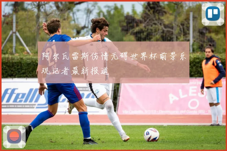 阿尔瓦雷斯伤情无碍世界杯前景乐观记者最新报道