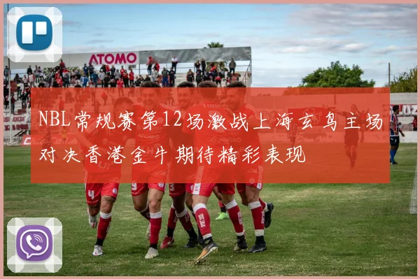 NBL常规赛第12场激战上海玄鸟主场对决香港金牛期待精彩表现