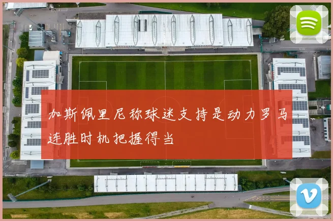 加斯佩里尼称球迷支持是动力罗马连胜时机把握得当
